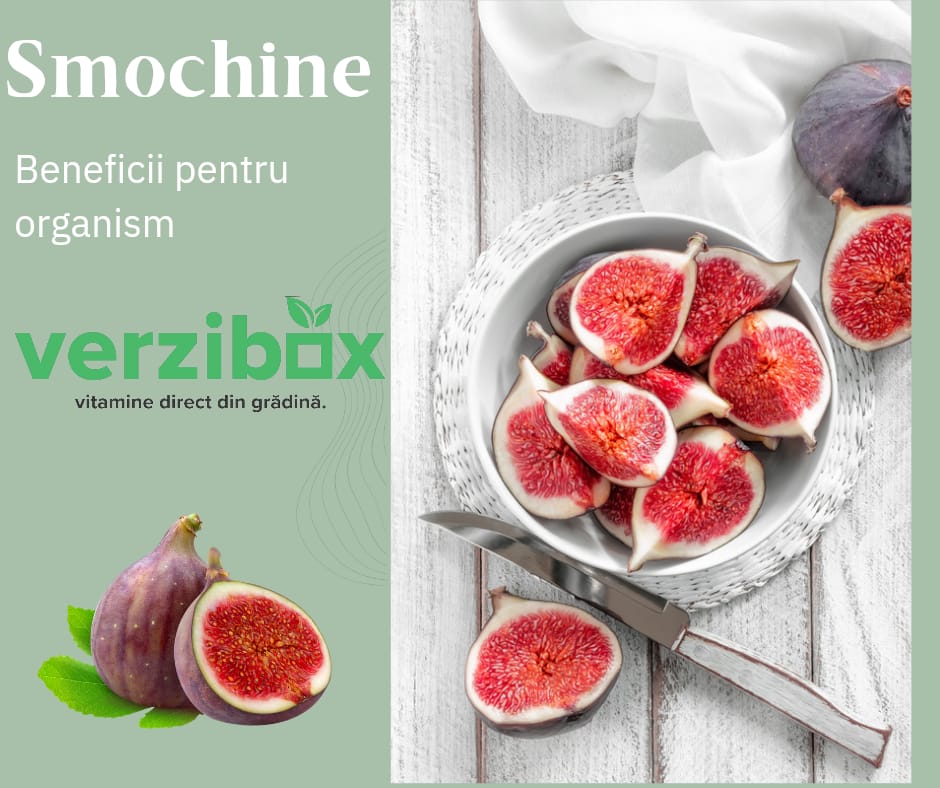 SMOCHINE - Beneficii pentru organism